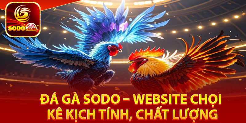 Đá Gà Sodo – Website Chọi Kê Kịch Tính, Chất Lượng 2 Tìm hiểu về sân chơi đá gà Sodo đỉnh cao