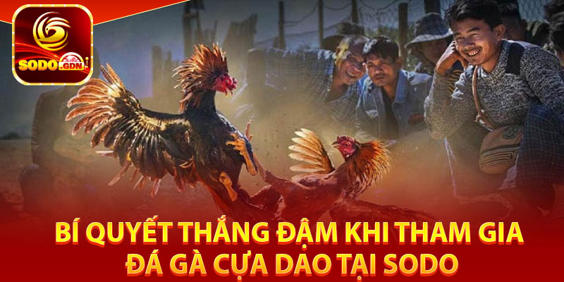 Đá Gà Cựa Dao – Trận Đấu Đỉnh Cao, Gay Cấn Hấp Dẫn Tại Sodo 4 Bí quyết thắng đậm khi tham gia đá gà cựa dao tại Sodo
